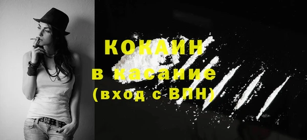 PSILOCYBIN Вязники