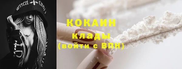 ГАЛЛЮЦИНОГЕННЫЕ ГРИБЫ Вяземский