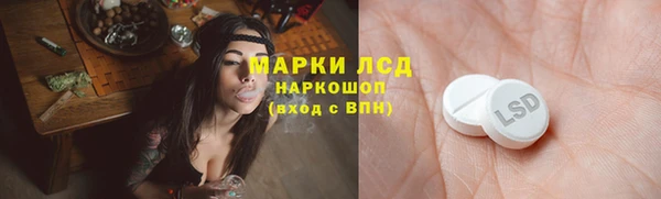 ГАЛЛЮЦИНОГЕННЫЕ ГРИБЫ Вяземский