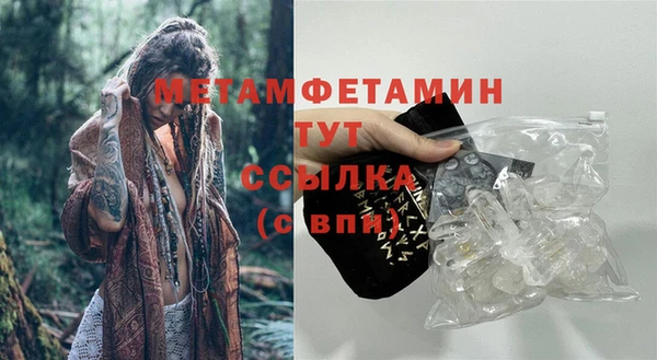 ГАЛЛЮЦИНОГЕННЫЕ ГРИБЫ Вяземский