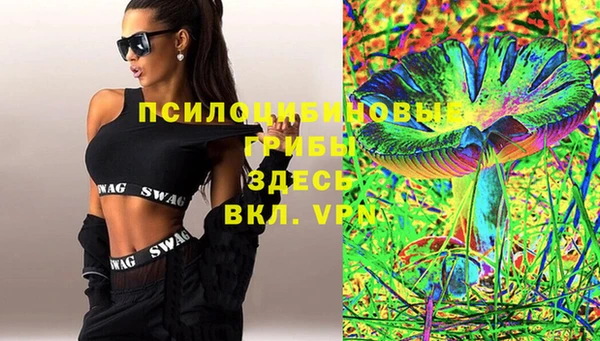 ГАЛЛЮЦИНОГЕННЫЕ ГРИБЫ Вяземский