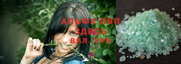 ГАЛЛЮЦИНОГЕННЫЕ ГРИБЫ Вяземский